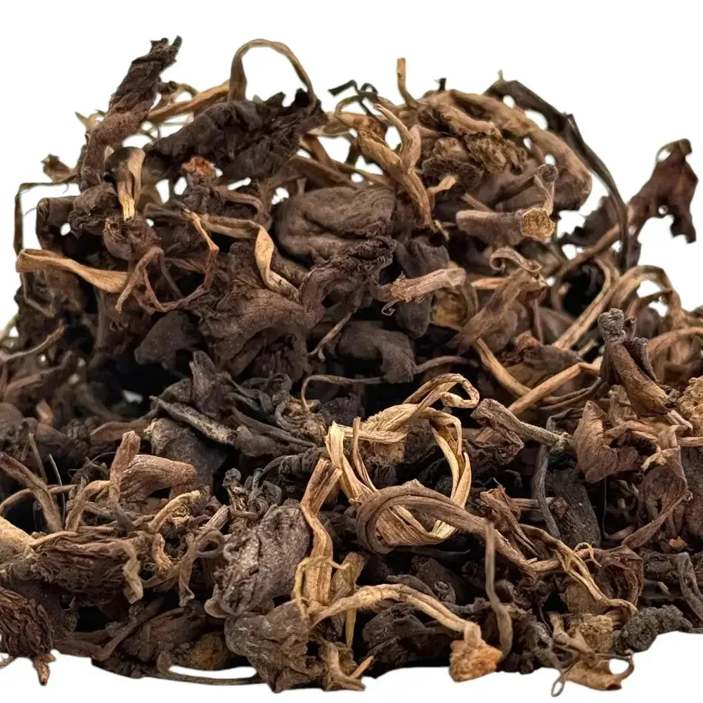 Djon Djon Champignon 50G H-exotique