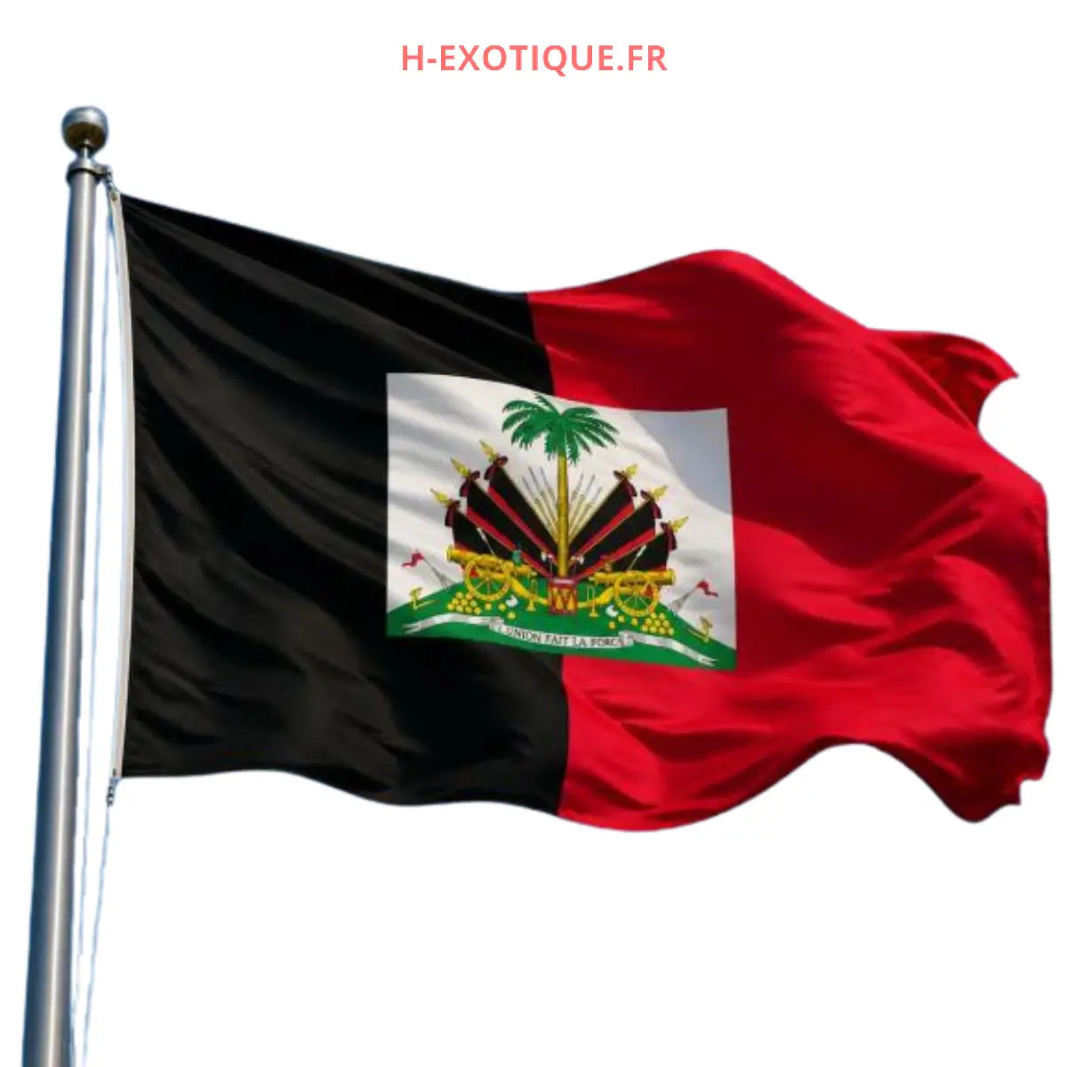 Drapeau Palmiste Haïti Noir et rouge 120x180CM