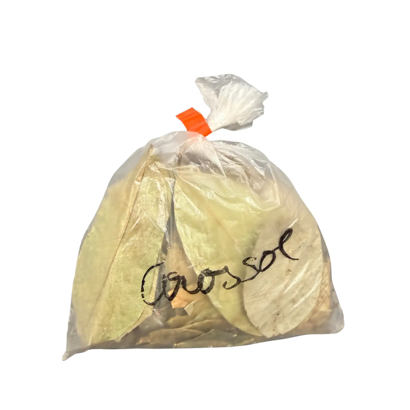 Infusion de Sauge x20 H EXOTIQUE