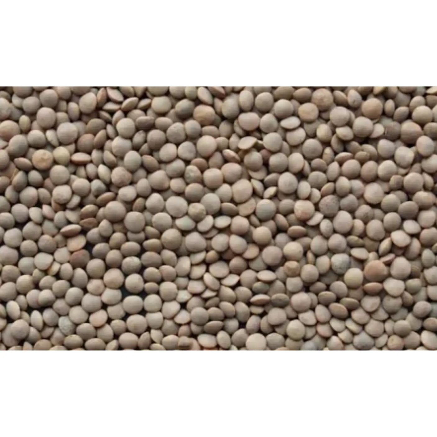 Lentilles Célimène – 454 g H-exotique