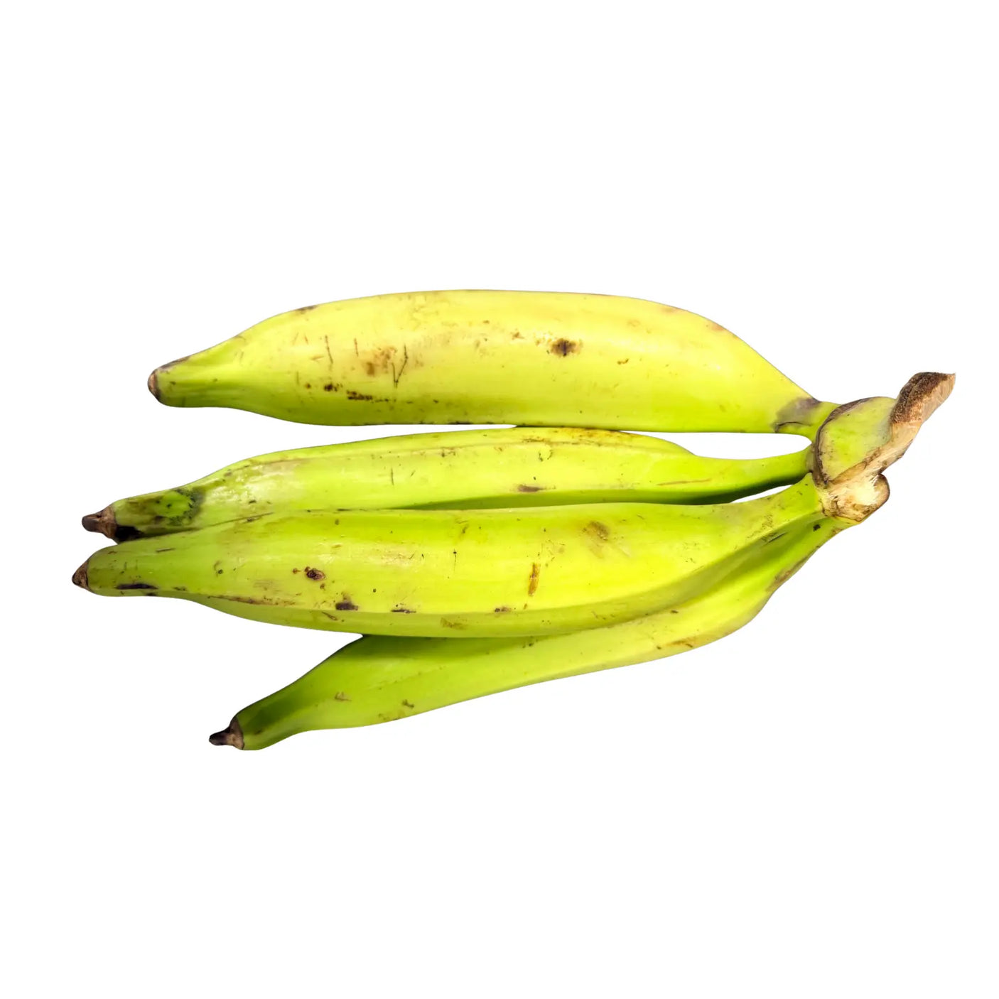 Banane plantain Antilles H EXOTIQUE