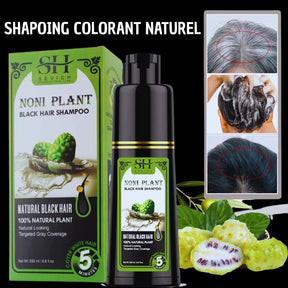 Shampoing Noir Instantané